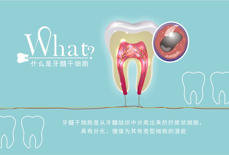 牙髓干细胞存储